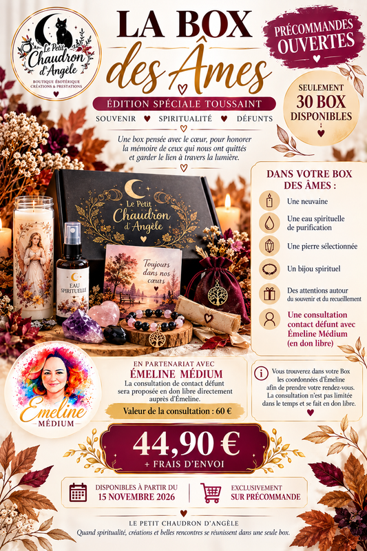 🖤✨ LA BOX DES ÂMES — ÉDITION LIMITÉE ✨🖤 précommande