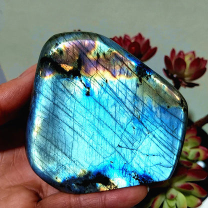 Pierre naturelle bleu jaune Labradorite cristal forme libre méditation sorcellerie Reiki guérison coeur Feng Shui cristal décor de chambre