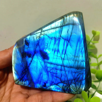 Pierre naturelle bleu jaune Labradorite cristal forme libre méditation sorcellerie Reiki guérison coeur Feng Shui cristal décor de chambre