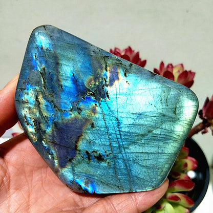 Pierre naturelle bleu jaune Labradorite cristal forme libre méditation sorcellerie Reiki guérison coeur Feng Shui cristal décor de chambre