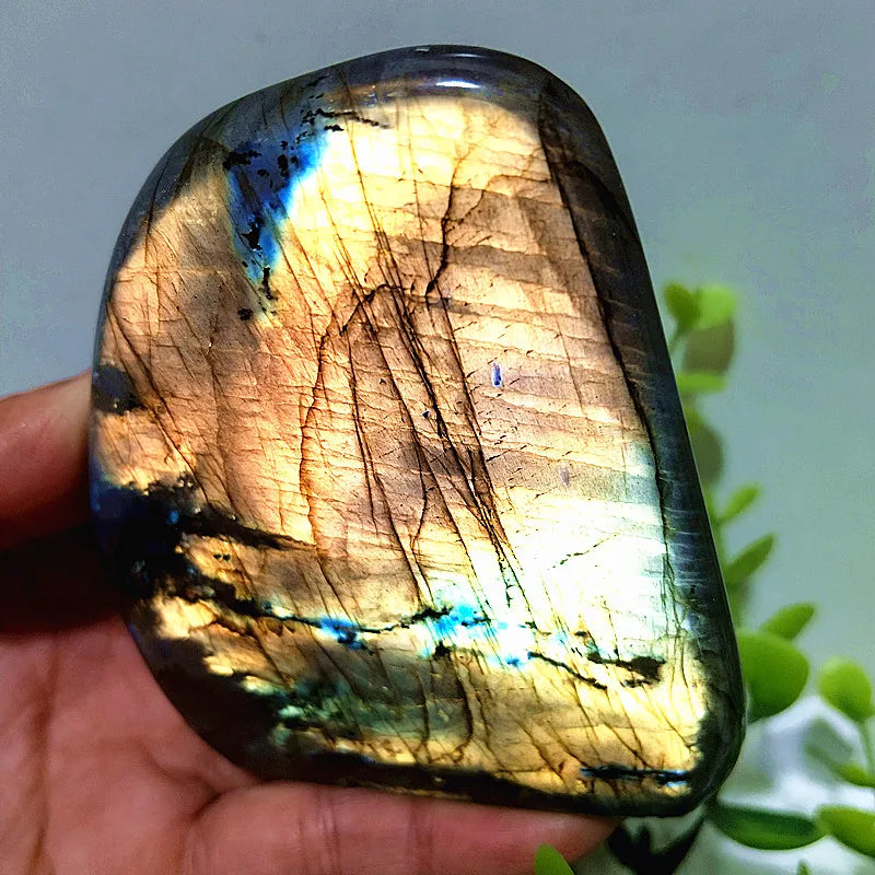 Pierre naturelle bleu jaune Labradorite cristal forme libre méditation sorcellerie Reiki guérison coeur Feng Shui cristal décor de chambre