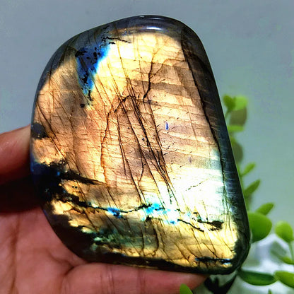 Pierre naturelle bleu jaune Labradorite cristal forme libre méditation sorcellerie Reiki guérison coeur Feng Shui cristal décor de chambre